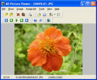 AD Picture Viewer screenshot